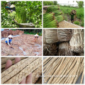 Natural water hyacinth woven carpets and rugs